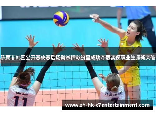 陈雨菲韩国公开赛决赛后场劈杀精彩纷呈成功夺冠实现职业生涯新突破