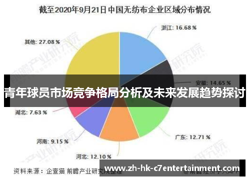 青年球员市场竞争格局分析及未来发展趋势探讨 青年球员市场竞争格局分析及未来发展趋势探讨