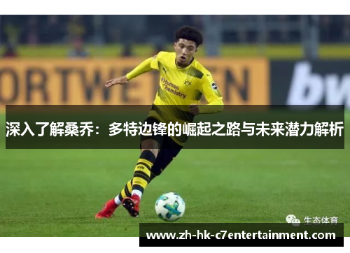 深入了解桑乔：多特边锋的崛起之路与未来潜力解析