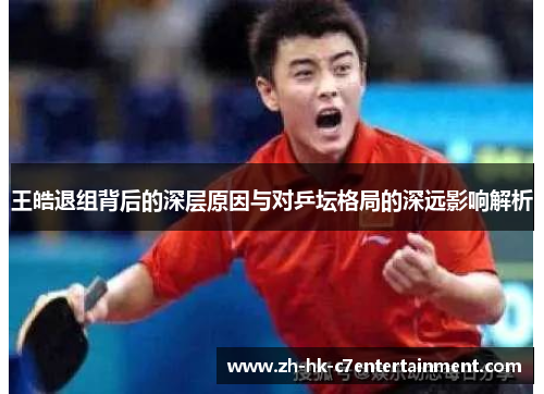 王皓退组背后的深层原因与对乒坛格局的深远影响解析