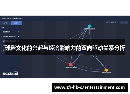 球迷文化的兴起与经济影响力的双向驱动关系分析