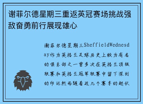 谢菲尔德星期三重返英冠赛场挑战强敌奋勇前行展现雄心